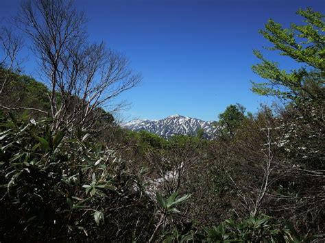 大門山|大門山｜最新の山行記録と登山ルートやアクセス、気象状況など 